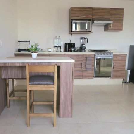 Departamento Tequis, Totalmente Nuevo En El Corazon De Slp Lägenhet San Luis Potosí Exteriör bild